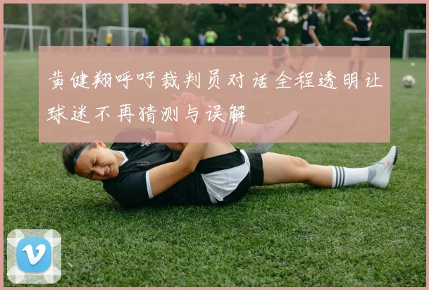 黄健翔呼吁裁判员对话全程透明让球迷不再猜测与误解